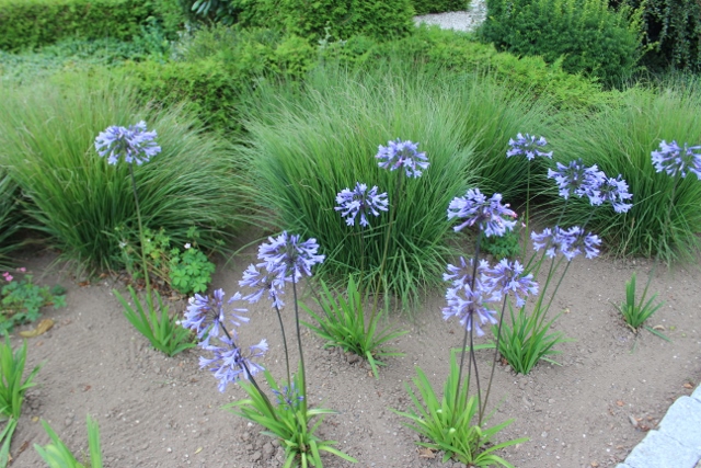 OverHadsten (5) (640x427)